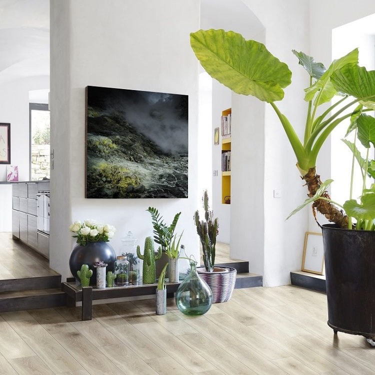 parquet stratifié Yvetot catalogue fournisseur